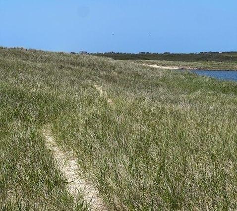 Hummock Pond