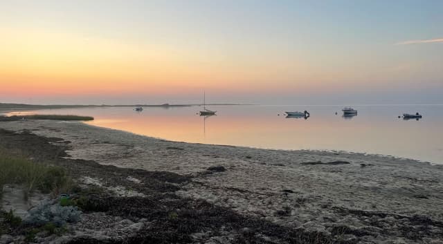 Beach at sunset