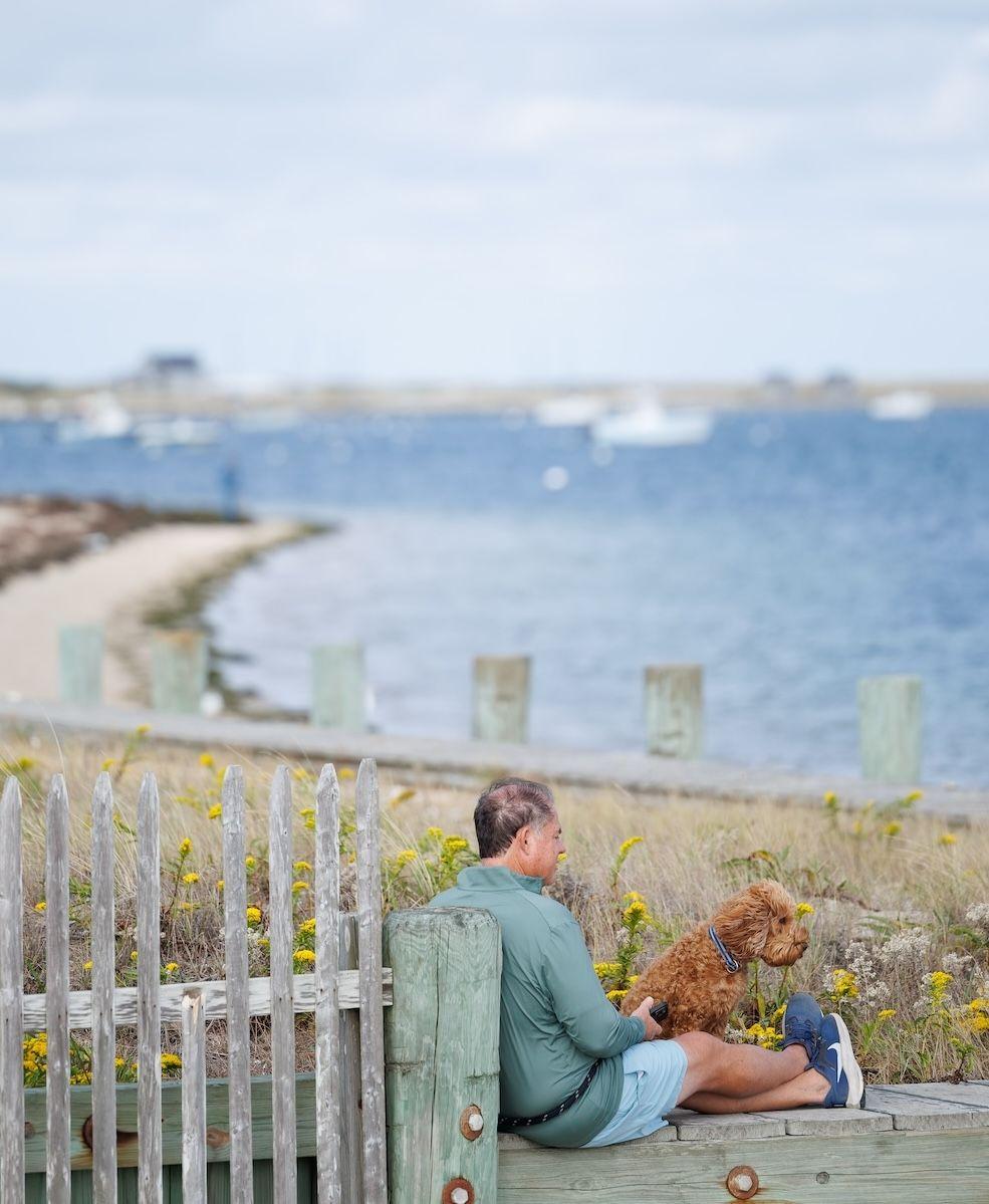 The best pet-friendly spots on Nantucket