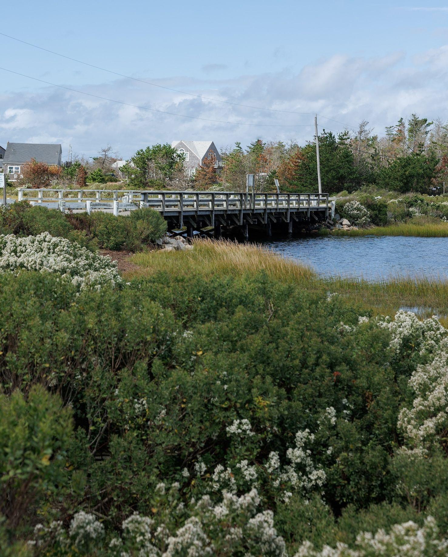 Bridge in Madaket surrounded by green shrubbery and white flowers over blue water. 