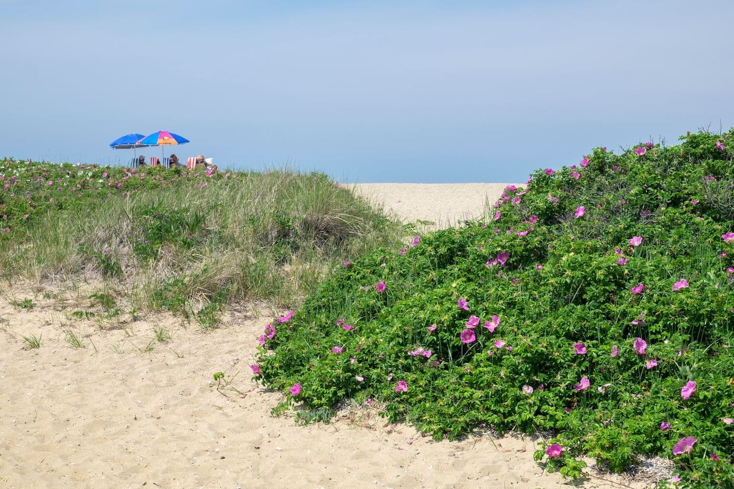 Best Nantucket Beaches Near Each Neighborhood