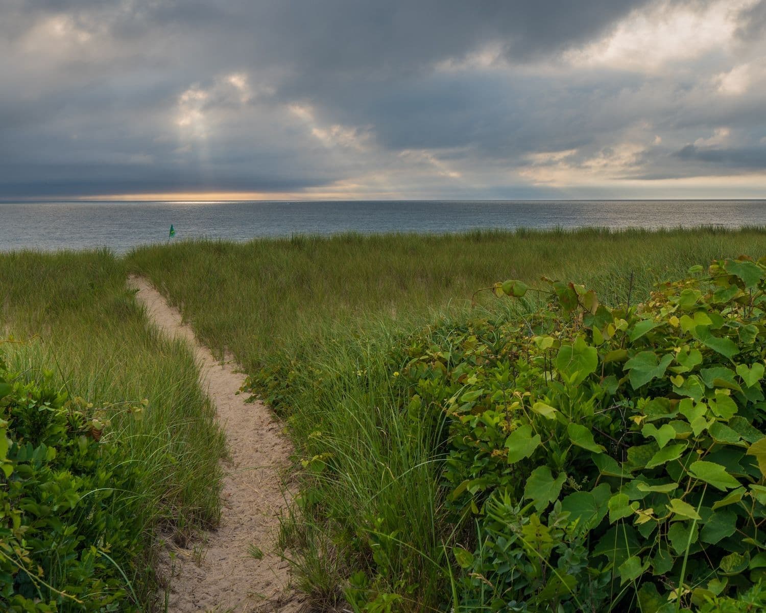 Why Hikers Love Nantucket
